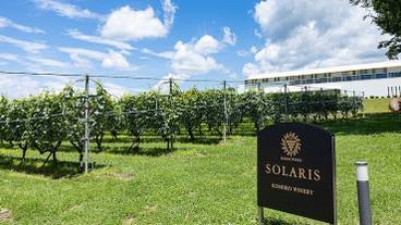 観光スポット / 1