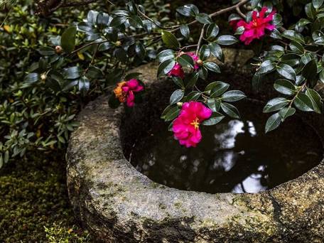 おおきに迎賓館 黒門中立賣邸 / 2