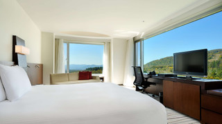 デラックスパノラマルーム　キング