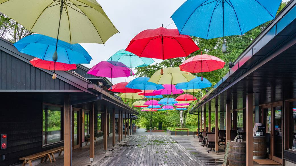 「ハルニレテラス」で
蕎麦ランチ / 1