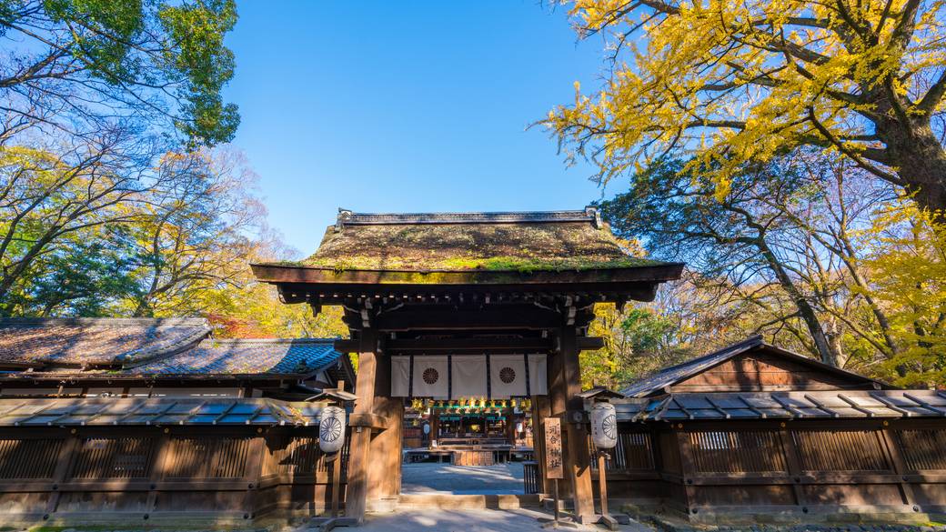 「下鴨神社」で
神社めぐりへ / 3
