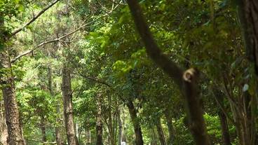 施設の敷地 / 13