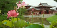 夏の京都観光におすすめ。蓮と睡蓮の花を愛でてみませんか？人気の名所11選