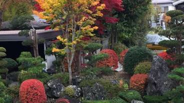 施設の敷地 / 16