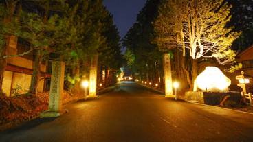 施設の敷地 / 22