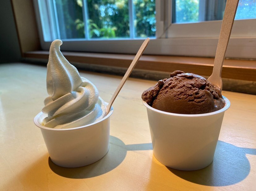 m_aaaa_cさんの写真 / 4