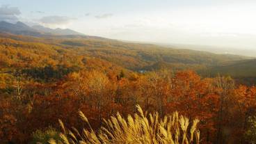 ランド ビュー / 9