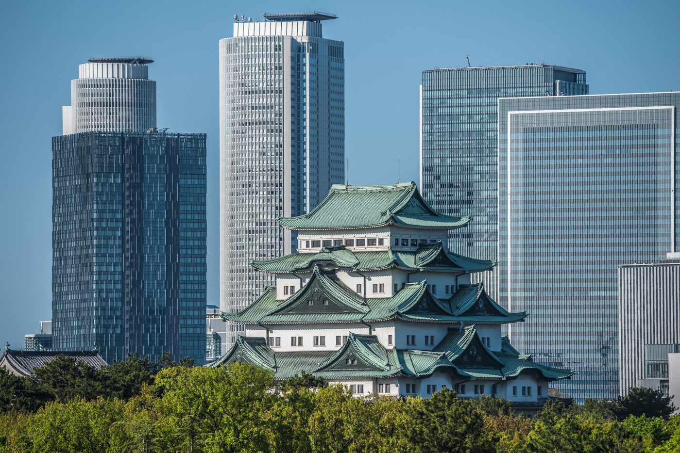 《愛知県》　新緑の名古屋城と高層ビル群