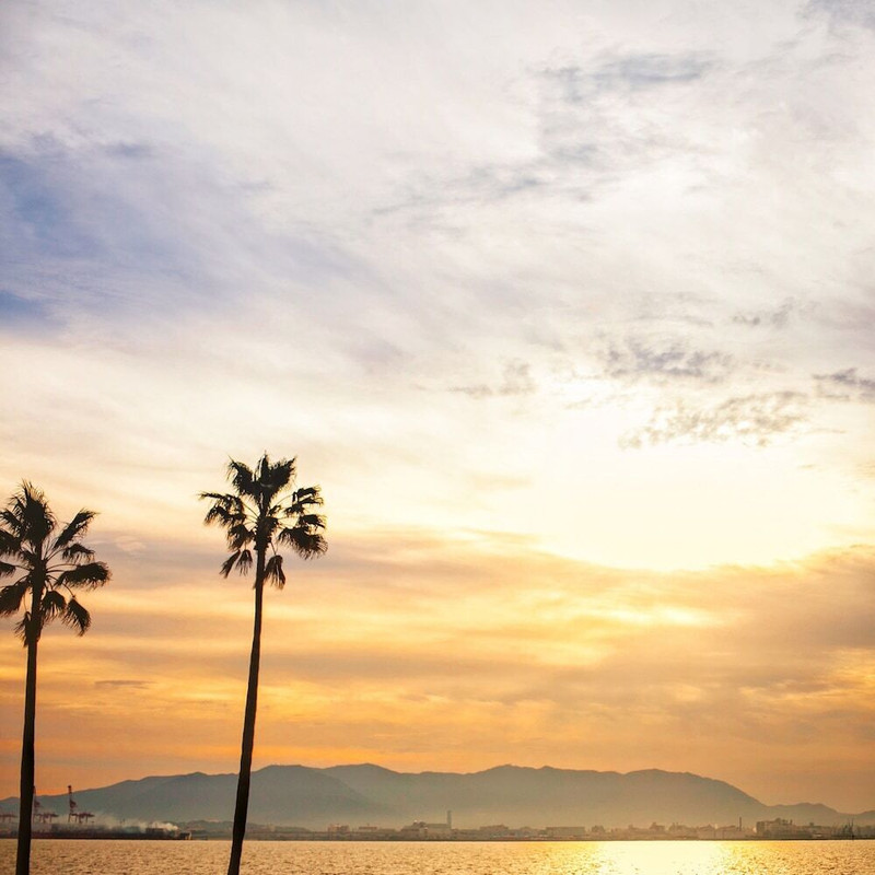 ビーチ / オーシャン ビュー