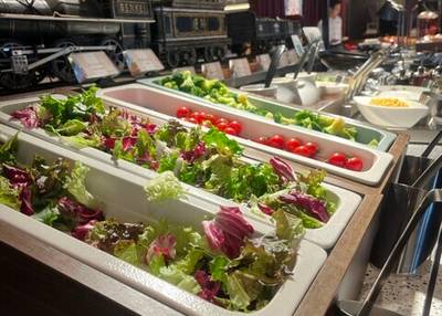 SAPPORO STREAM HOTEL