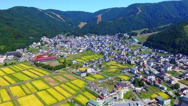 マウンテン ビュー / 24