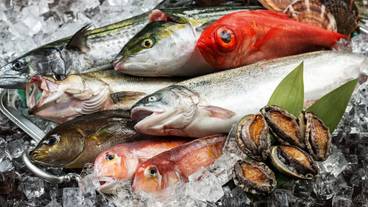 食事・飲み物 / 6