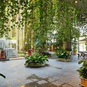 パレスインムーンビーチ(沖縄県 リゾートホテル) / 2