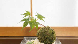 ツインルーム 専用バスルーム付 (304)