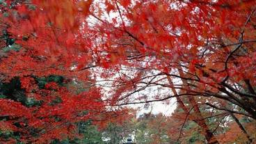 施設からの眺望 / 18