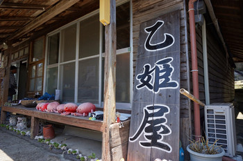 「海女ちゃん食堂　乙姫屋」 外観 87202349 