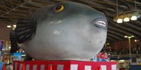 山口観光に「唐戸市場」はマスト！おすすめグルメをご紹介