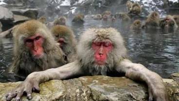 施設の敷地 / 14