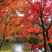 ホテル ステーション京都（京都府 ビジネスホテル） / 5