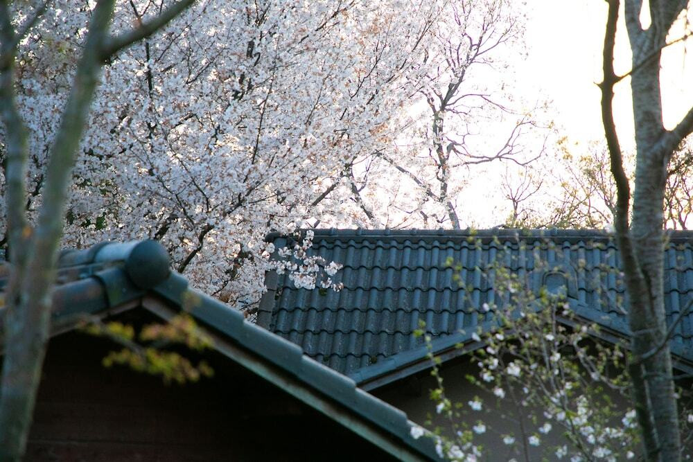 施設からの眺望