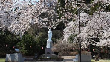 施設からの眺望 / 33