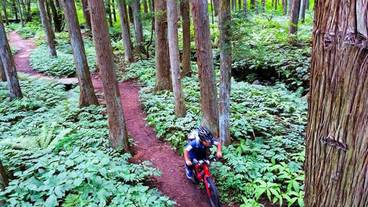 自転車 / 1