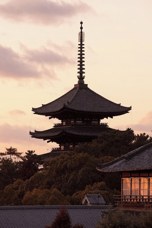 施設からの眺望