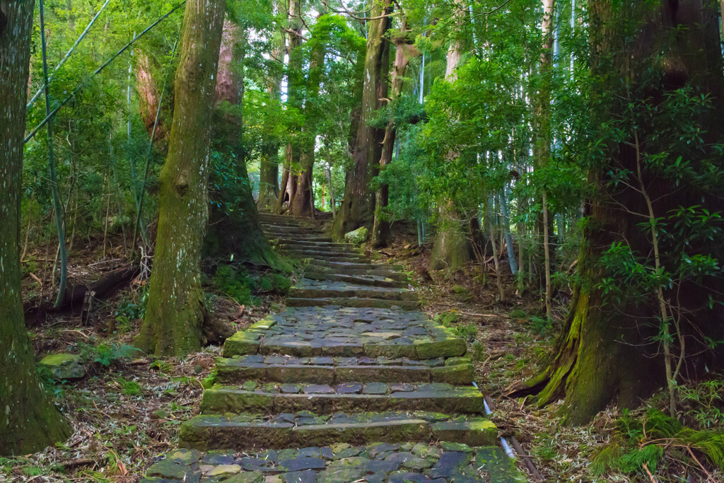 日常に疲れてきたら、静かな熊野へ逃避行3724986