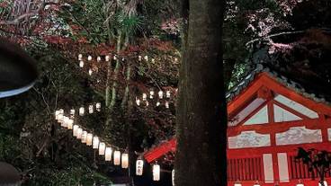 観光スポット / 11