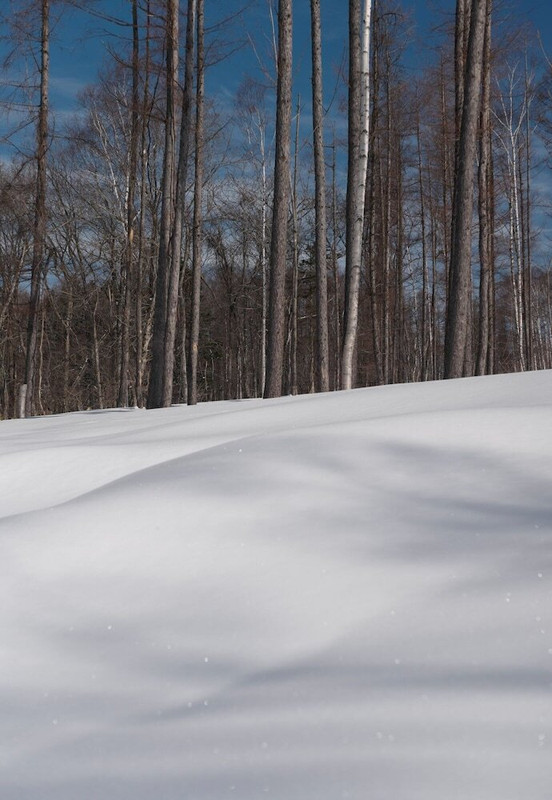 施設からの眺望