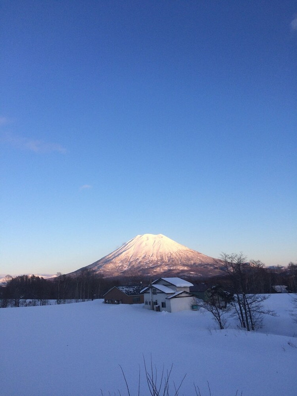 マウンテン ビュー