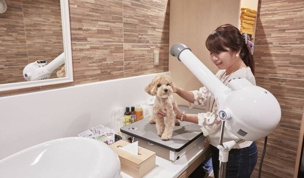 お風呂でのんびり
癒しのひと時 / 4