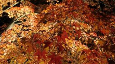 施設の敷地 / 13