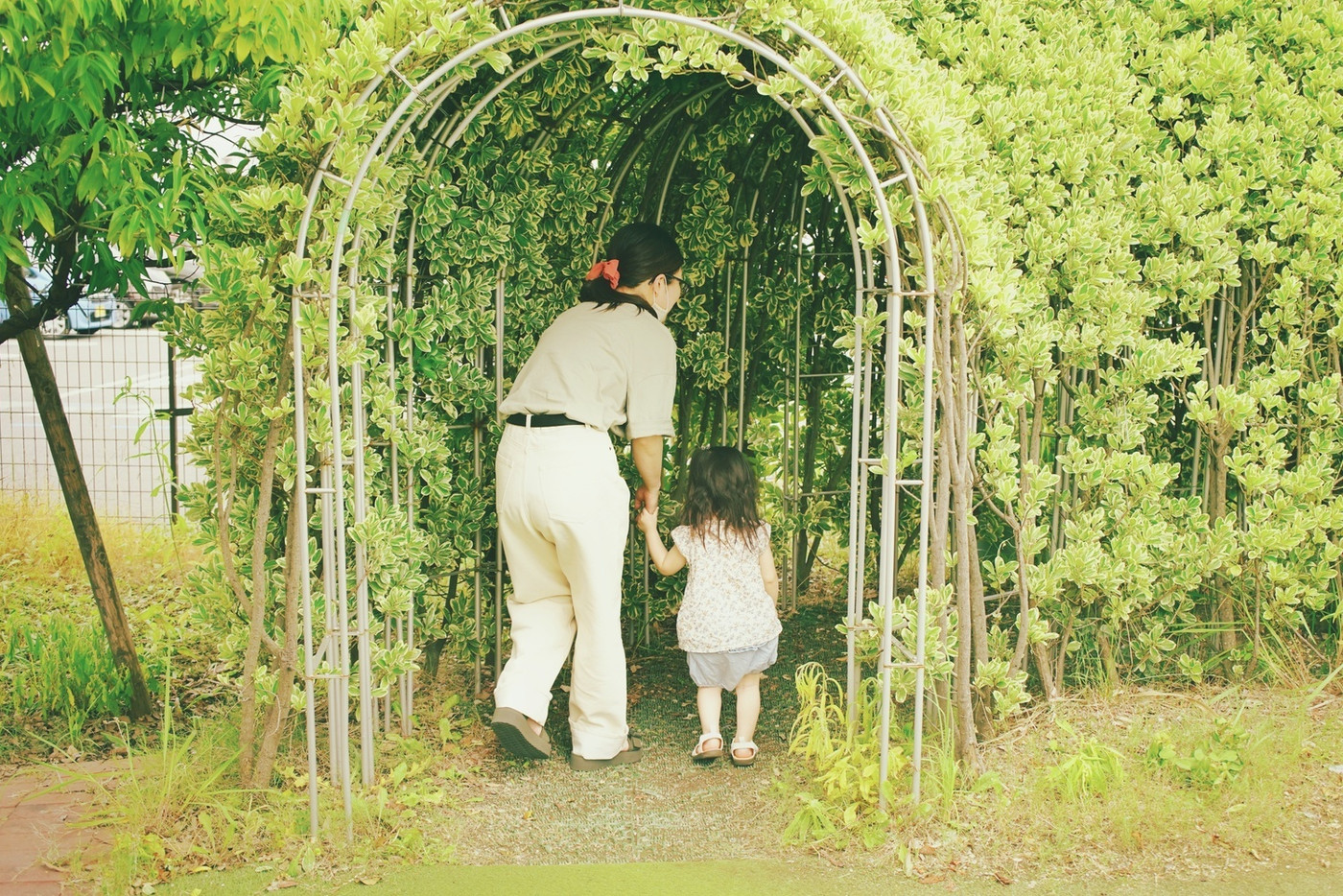 小さな冒険が始まります。