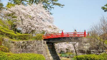 観光スポット / 11