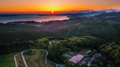 そのぎ茶温泉里山の湯宿 つわぶきの花