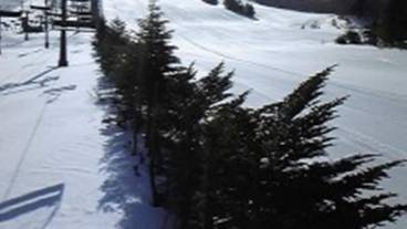 施設の敷地 / 30