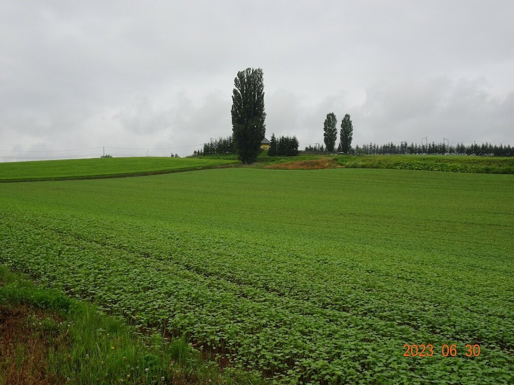 部屋からの景観