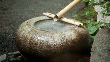 施設の敷地 / 24