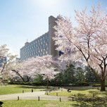今年は静かにお花見。桜咲く、お花見におすすめの東京のホテル10選