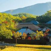 黒川温泉 山みず木別邸 深山山荘(熊本県 旅館) / 3