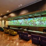 フロントカウンター / 1