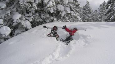 スノー スポーツとスキー / 9