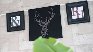 客室の設備とサービス / 11