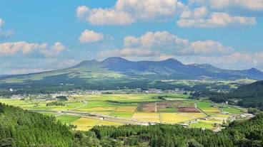 観光スポット / 5