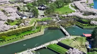 五稜郭タワー / 5