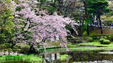 観光スポット / 13