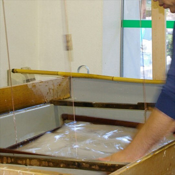 機織りやカヌー体験、そしてレンタサイクル、体を動かして高知を満喫！3505195