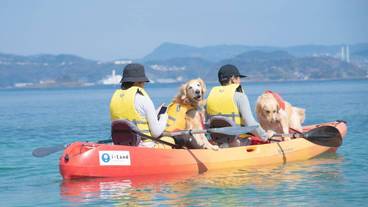 ボート漕ぎ / 15