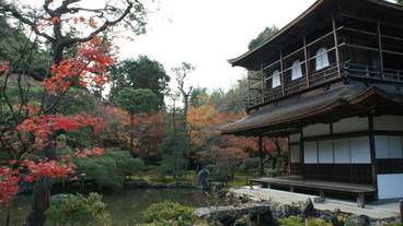 観光スポット / 11